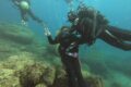 Discover Scuba Diving Livorno
